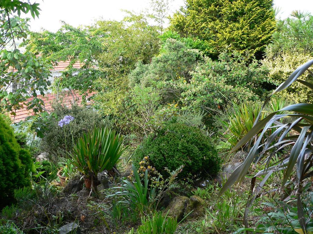 Mount Hobson Apartments Auckland Exteriör bild