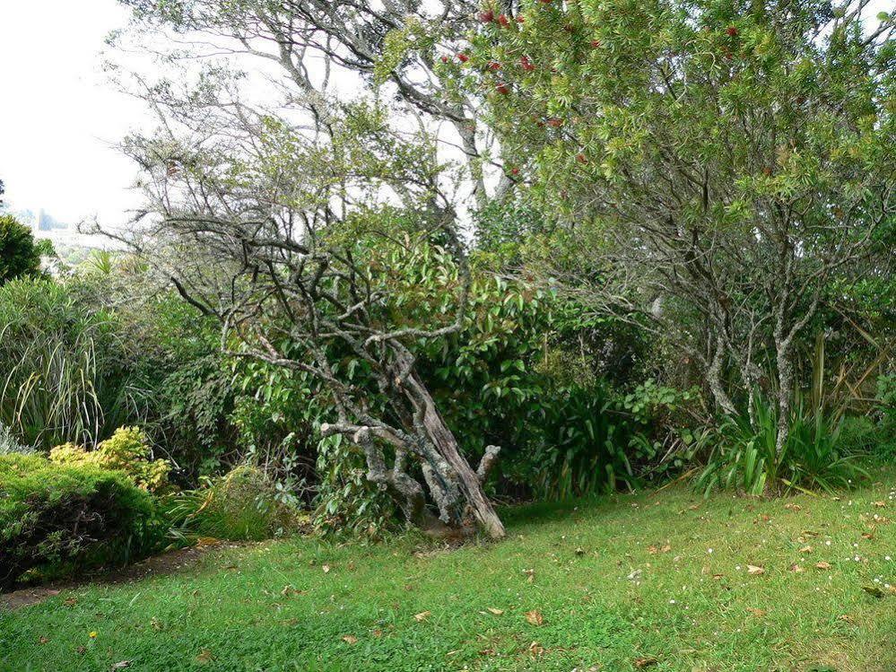 Mount Hobson Apartments Auckland Exteriör bild