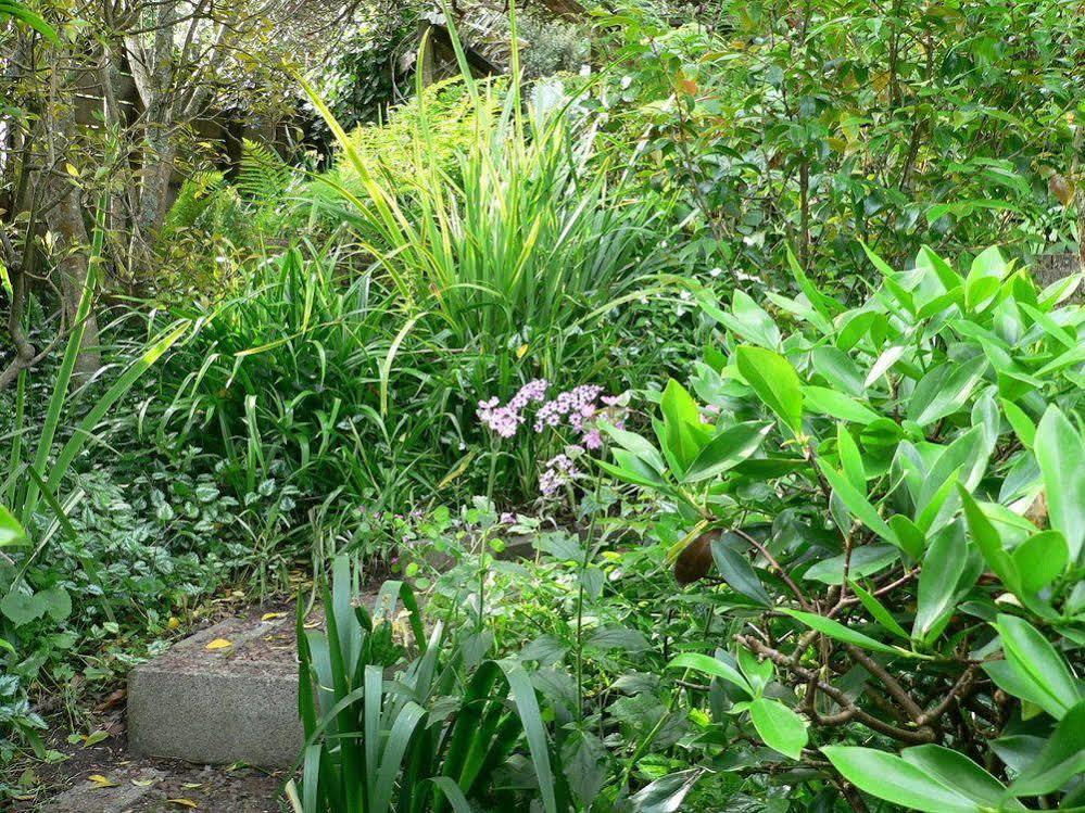 Mount Hobson Apartments Auckland Exteriör bild